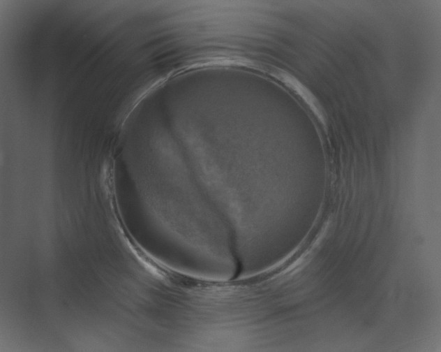 X0000073891385200608251420