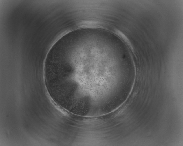 X0000073891386200608251420