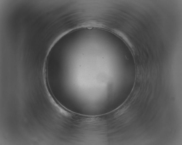 X0000073891387200608251420