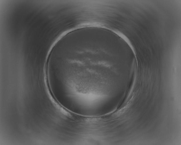 X0000073891389200608251420