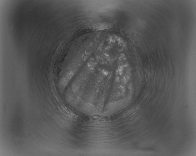 X0000073891393200608251419