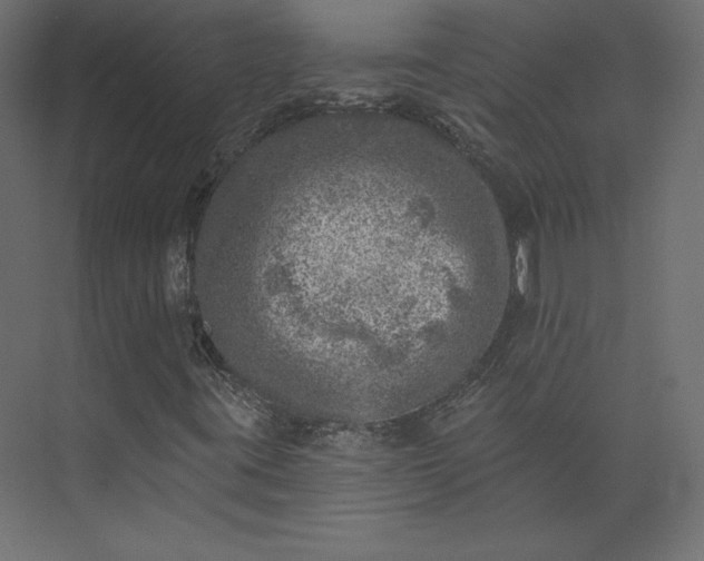 X0000073891395200608251419