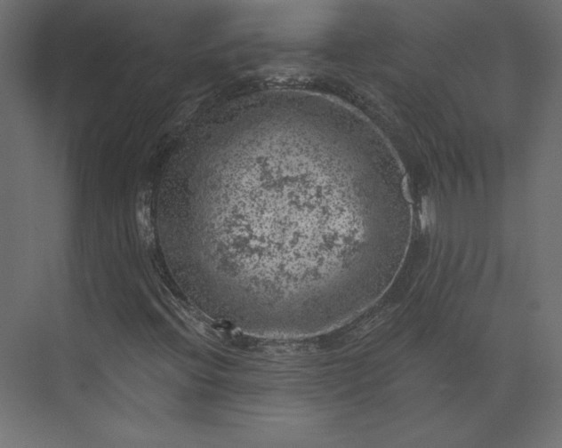 X0000073891396200608251419