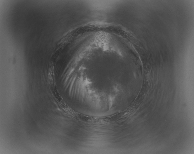 X0000073891397200608251419