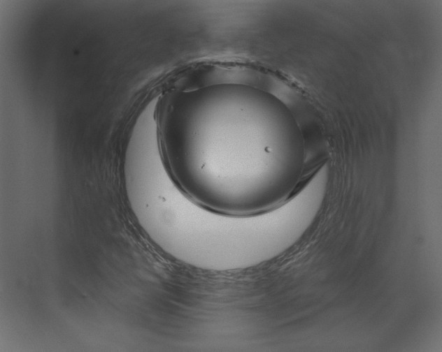 X0000073891398200608251419