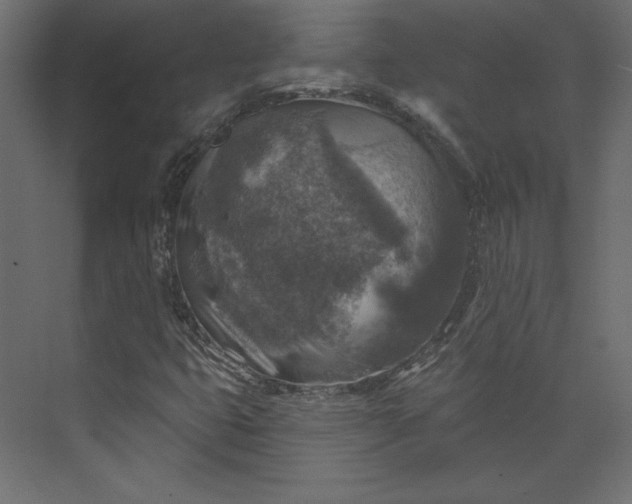 X0000073891399200608251419