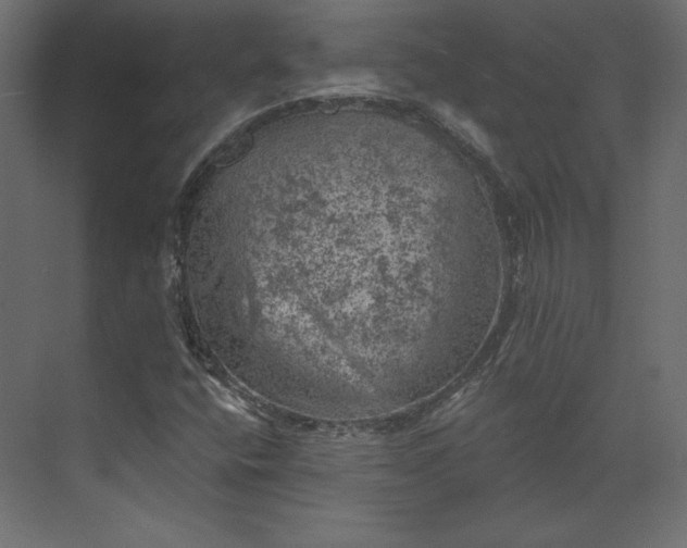 X0000073891400200608251419