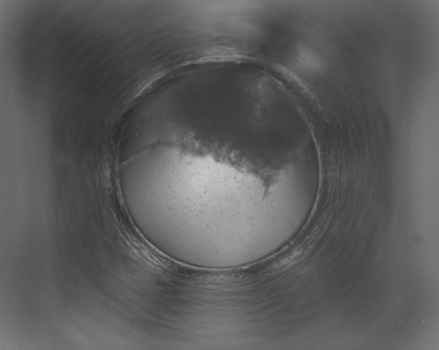 X0000073891401200608251419