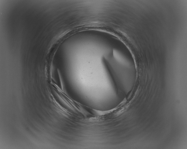 X0000073891402200608251419