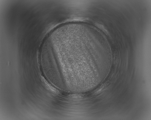 X0000073891404200608251419