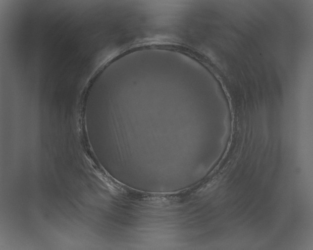 X0000073891405200608251419