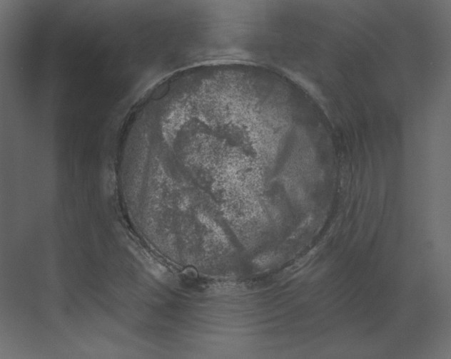 X0000073891407200608251419