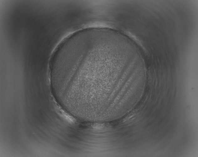 X0000073891408200608251419