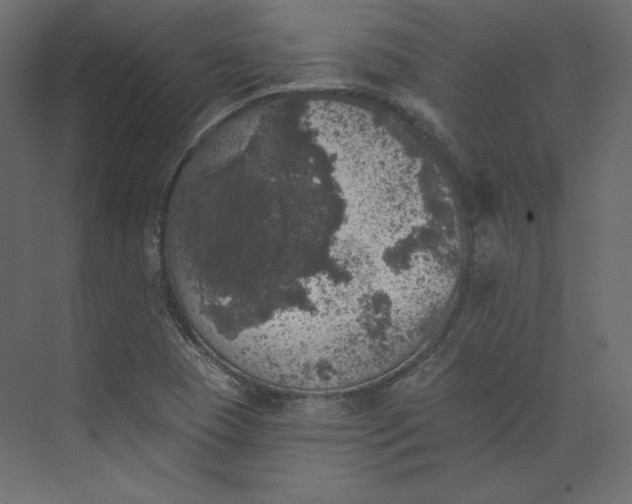 X0000073891409200608251419