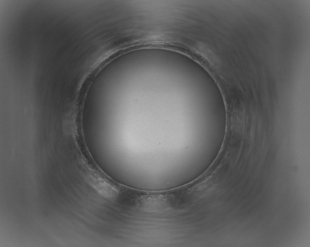 X0000073891410200608251419