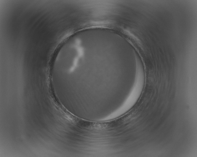 X0000073891411200608251419