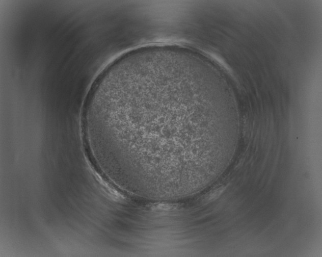 X0000073891412200608251419