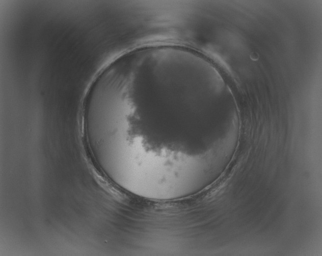 X0000073891413200608251419