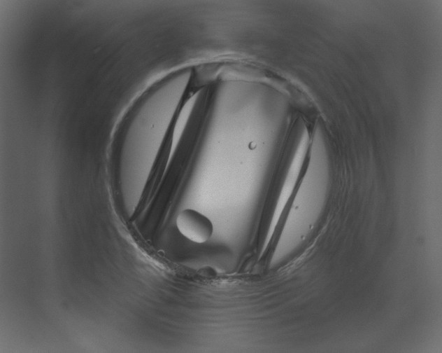 X0000073891414200608251419