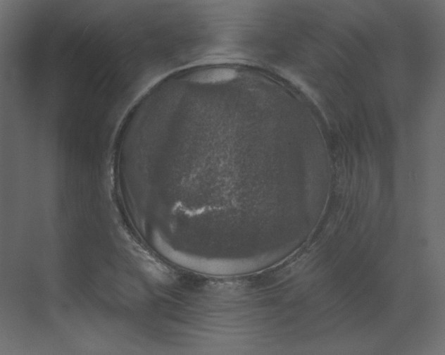 X0000073891415200608251419