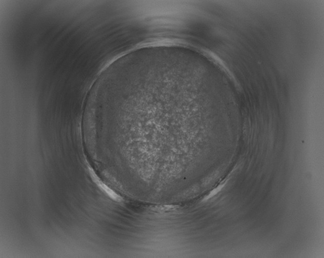 X0000073891417200608251419