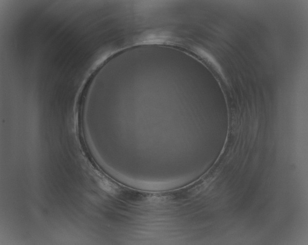 X0000073891419200608251419