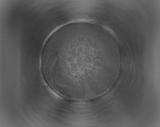 X0000073891420200608251419