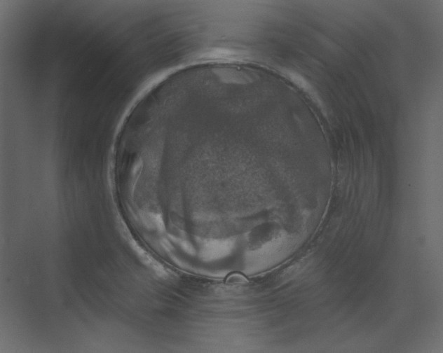 X0000073891421200608251419