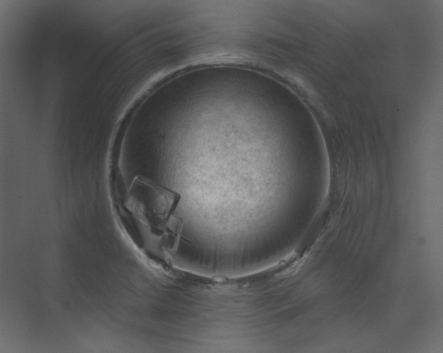 X0000073891422200608251419