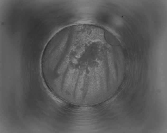 X0000073891423200608251419