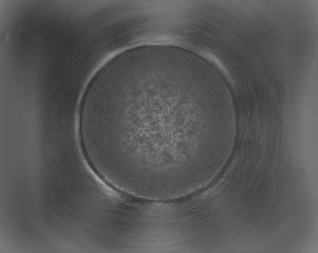 X0000073891424200608251419