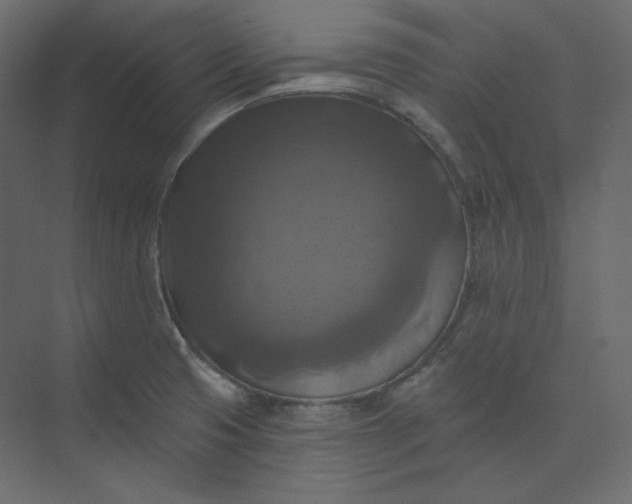 X0000073891425200608251419