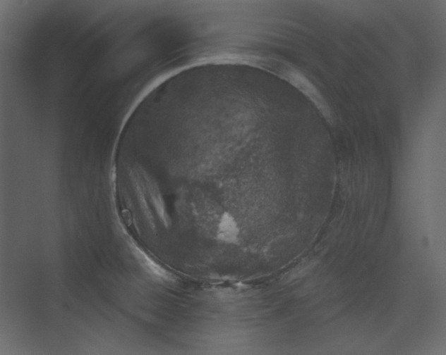 X0000073891428200608251419