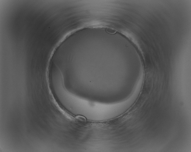 X0000073891429200608251420