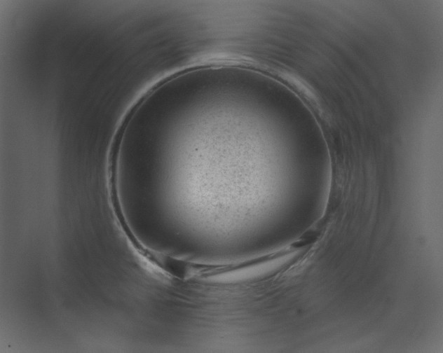 X0000073891430200608251420