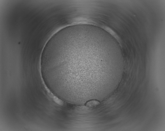 X0000073891431200608251420