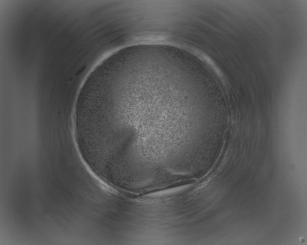 X0000073891432200608251420