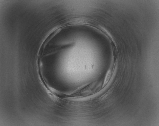 X0000073891434200608251420