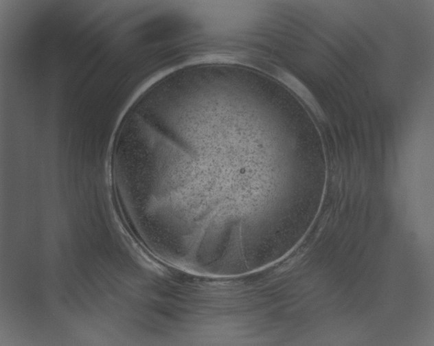 X0000073891436200608251420