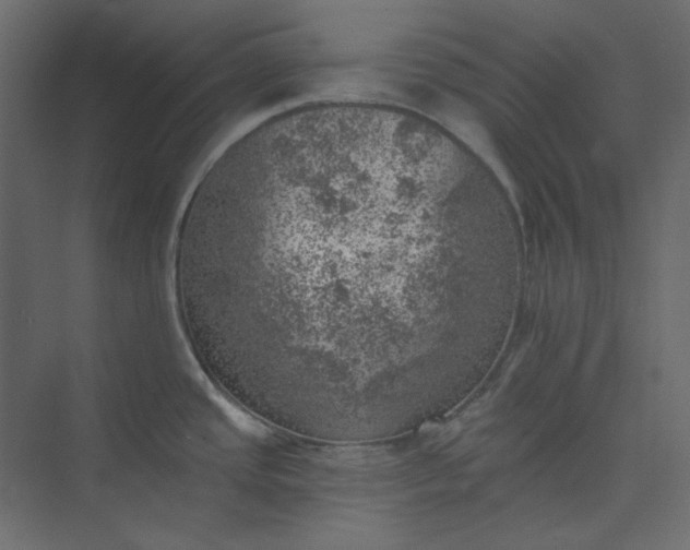 X0000073891437200608251420