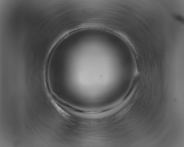 X0000073891438200608251420