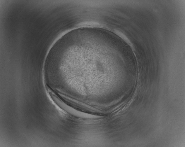 X0000073891440200608251420