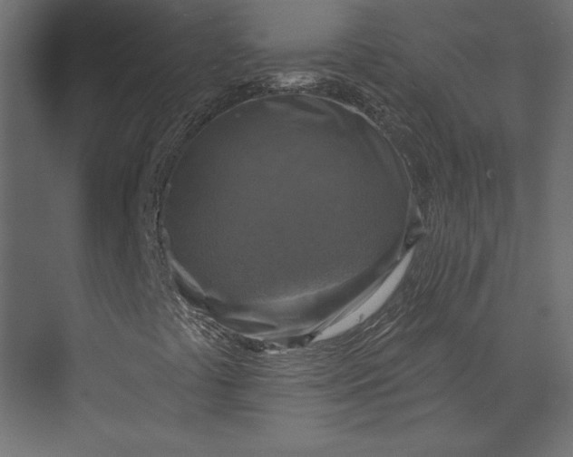 X0000073891441200608251419