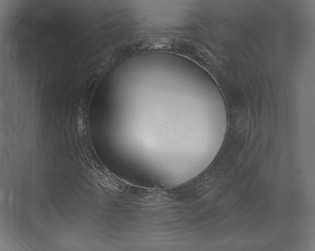 X0000073891442200608251419