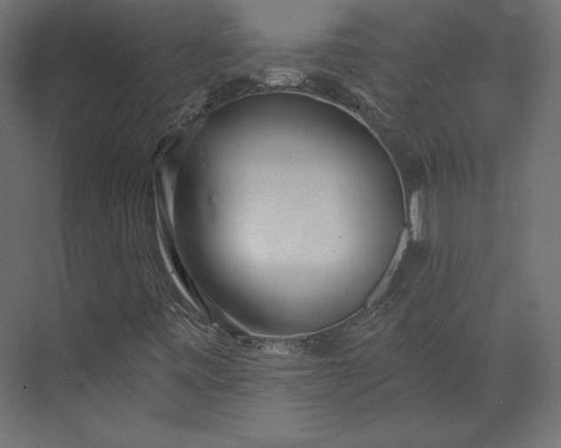 X0000073891443200608251419