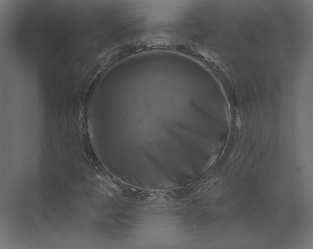 X0000073891445200608251419