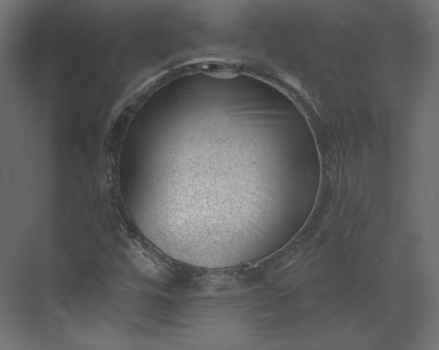 X0000073891448200608251419