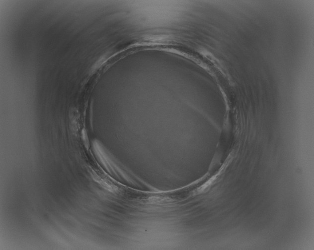 X0000073891449200608251419