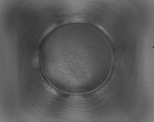 X0000073891450200608251419