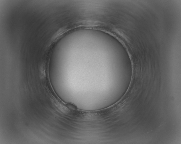 X0000073891451200608251419